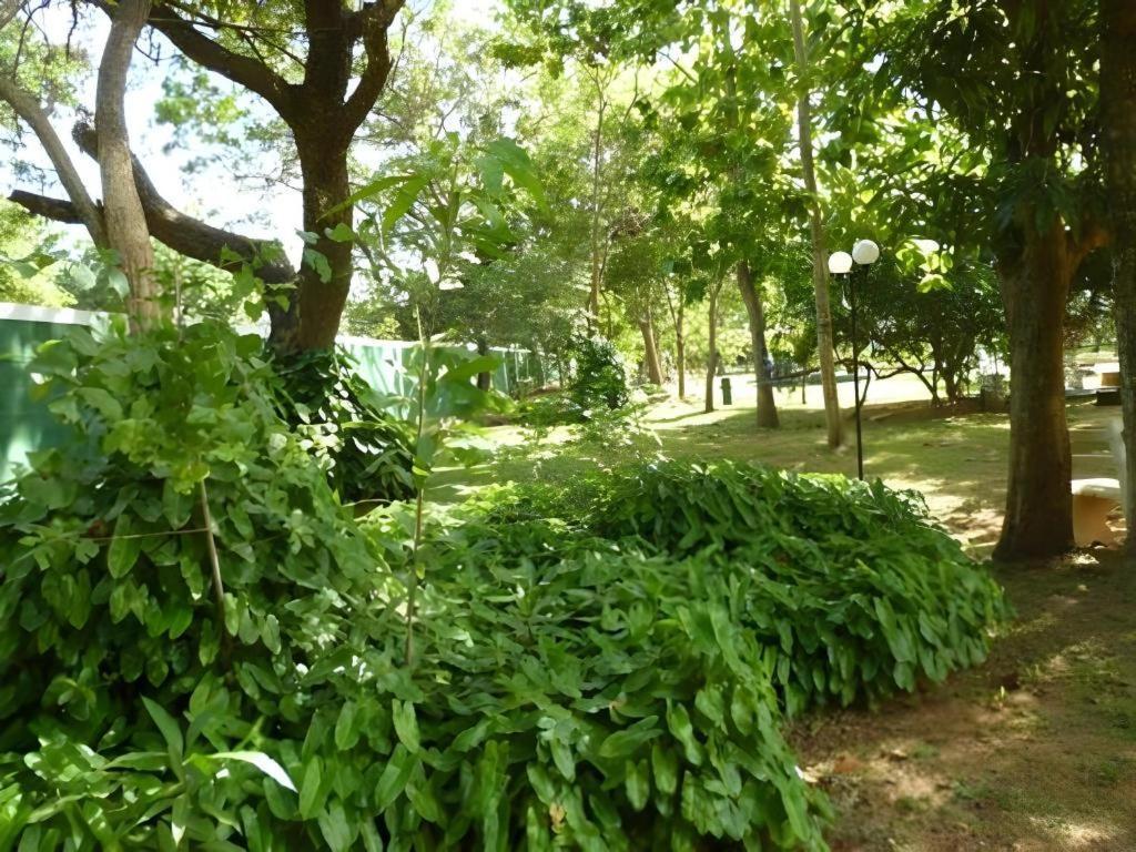 Saji-Sami Hotel Anuradhapura Luaran gambar