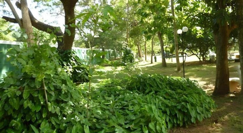 Saji-Sami Hotel Anuradhapura Luaran gambar