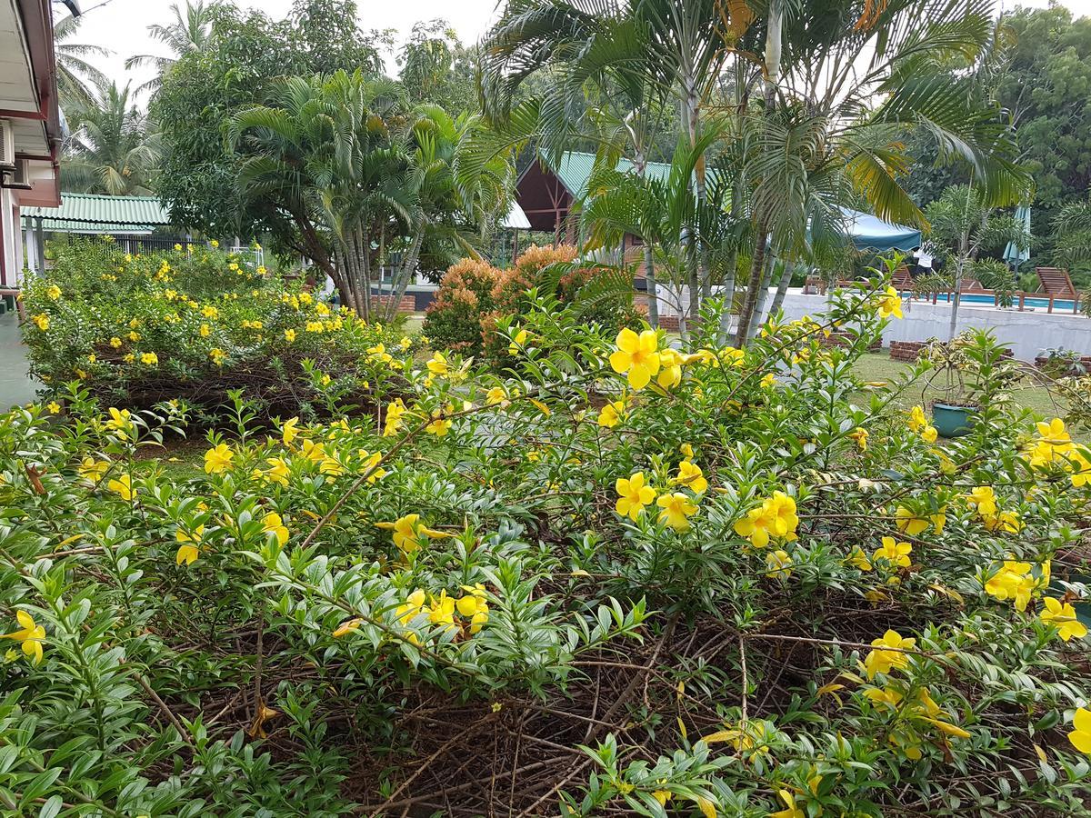 Saji-Sami Hotel Anuradhapura Luaran gambar